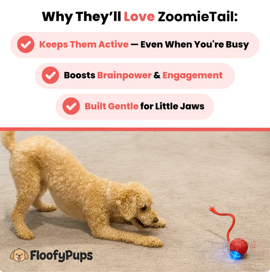 ZoomieTail