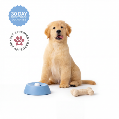 Slow Feed Licking Dog Bowl