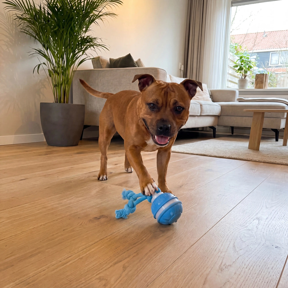 4. It Plays With Your Dog So You Don't Have To