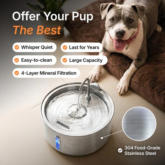 Fresh Flow Dog Fountain™
