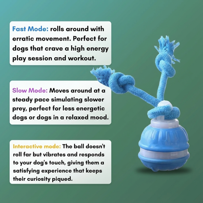 The Chase Buddy – Keep Your Dog Calm, Engaged & Satisfied (Even When You’re Busy)