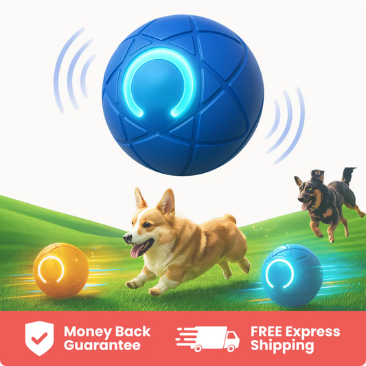 Zoomie Ball