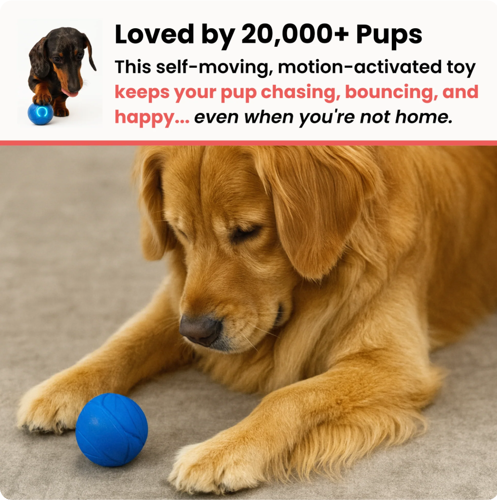 Zoomie Ball