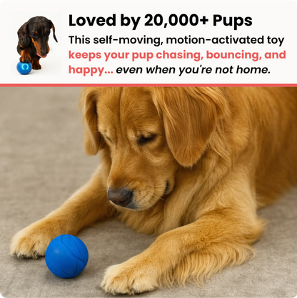 Zoomie Ball