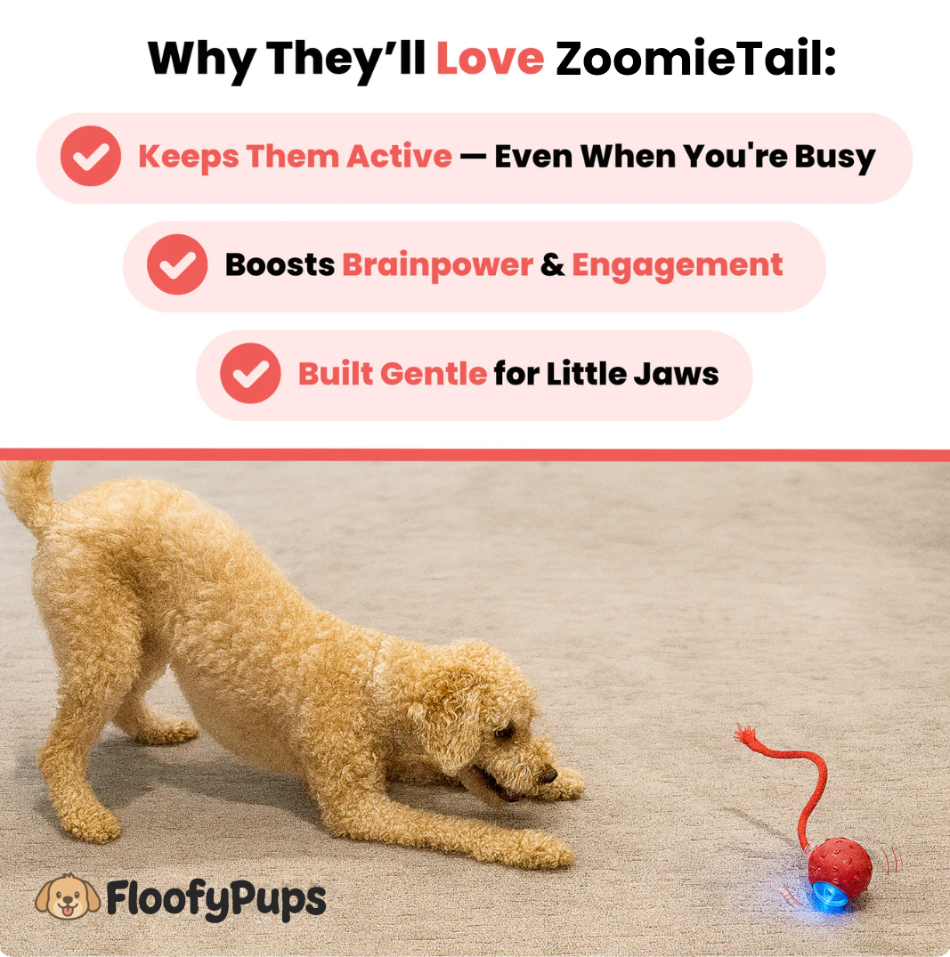 ZoomieTail