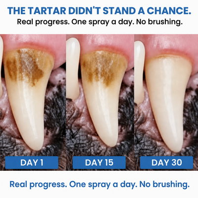 PearlyPup™ Anti-Tartar Dental Spray for Dogs