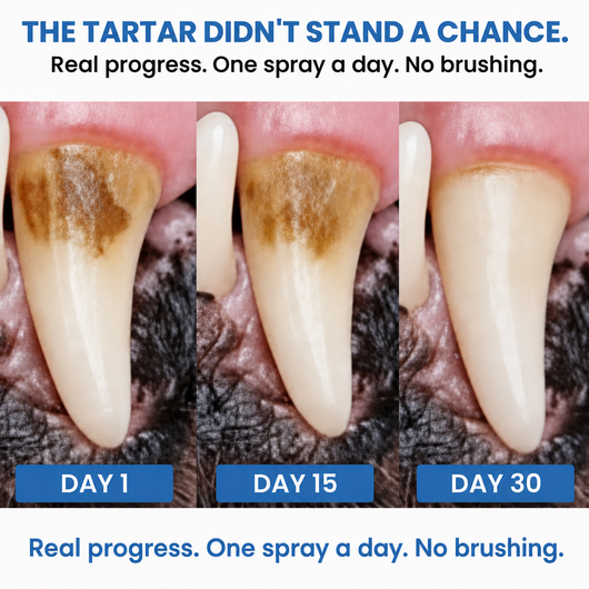 PearlyPup™ Anti-Tartar Dental Spray for Dogs