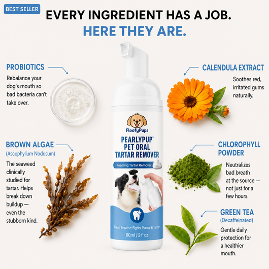 PearlyPup™ Anti-Tartar Dental Spray for Dogs