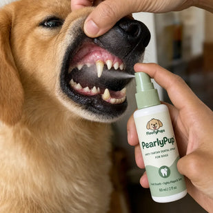Shake & Spray