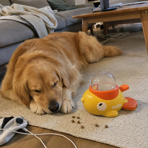 Pet Parent Built