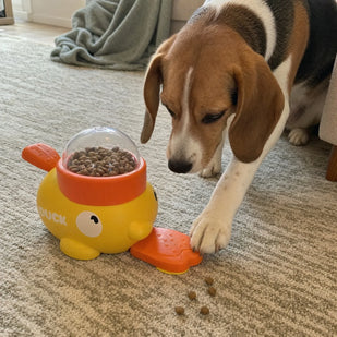 Paw, Press & Snack