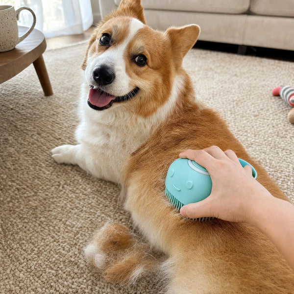 Dog Approved