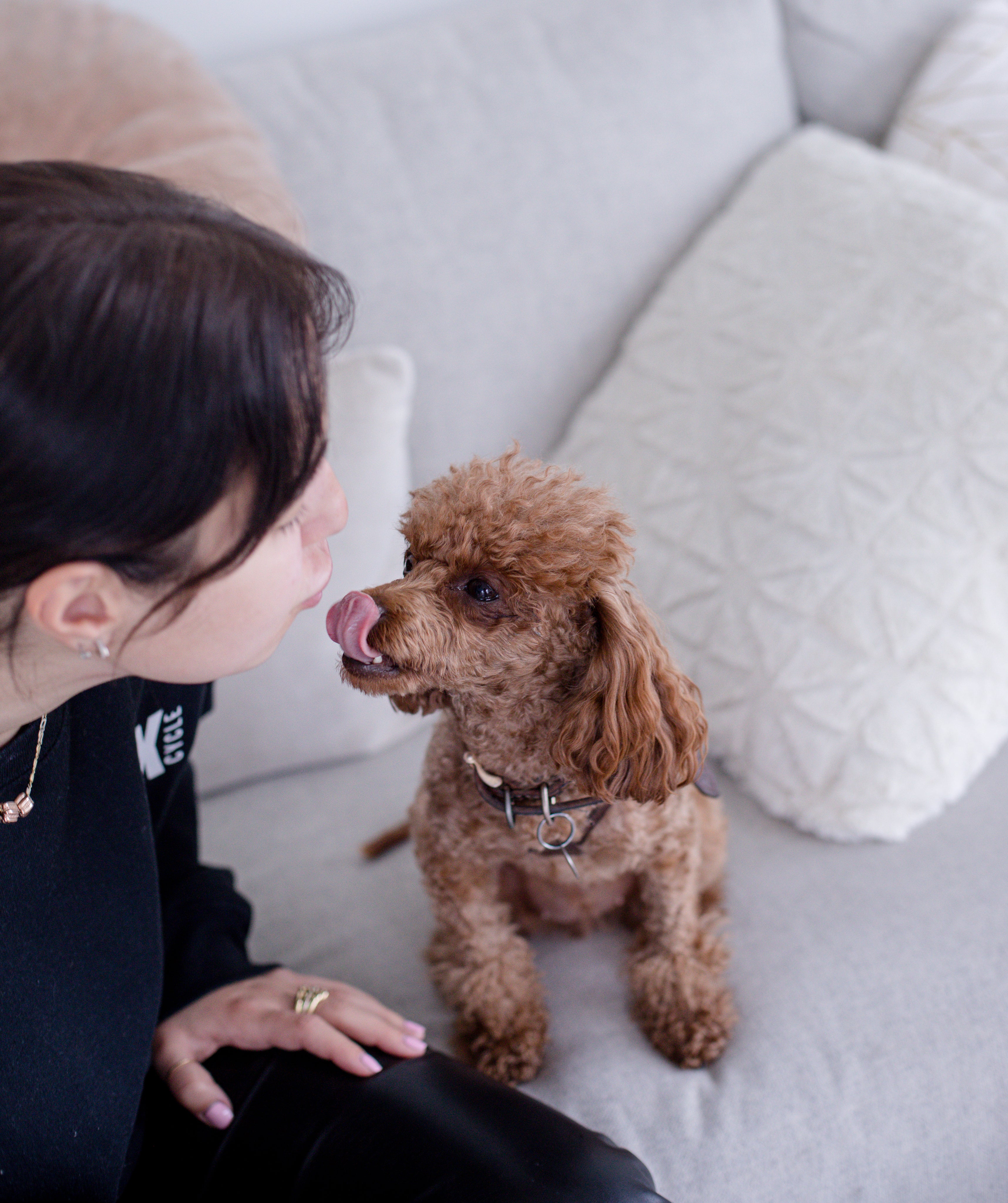 files/person-and-puppy-look-at-eachother.jpg
