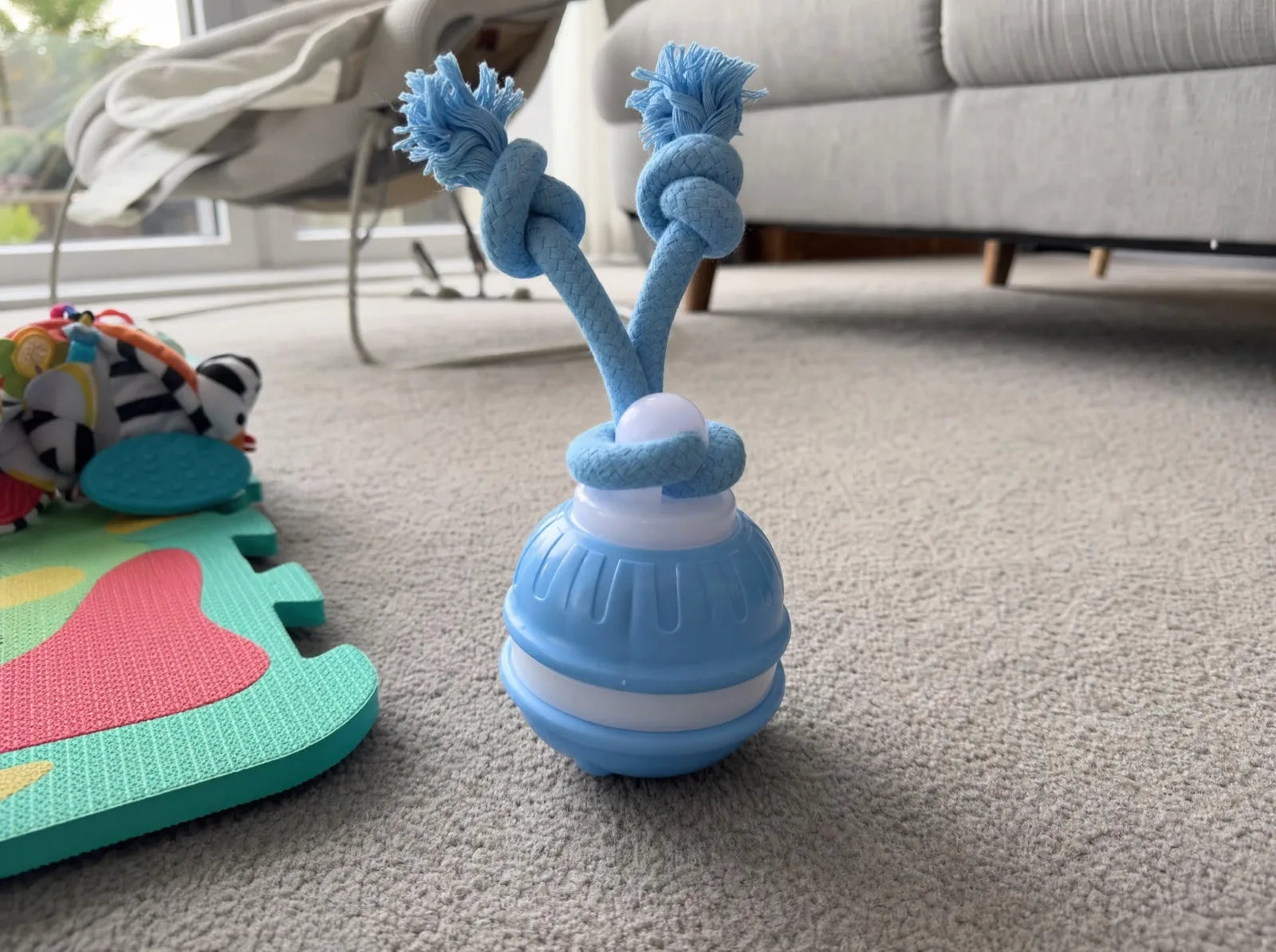 The Chase Buddy, a blue ball with two knotted rope arms, on our lounge carpet