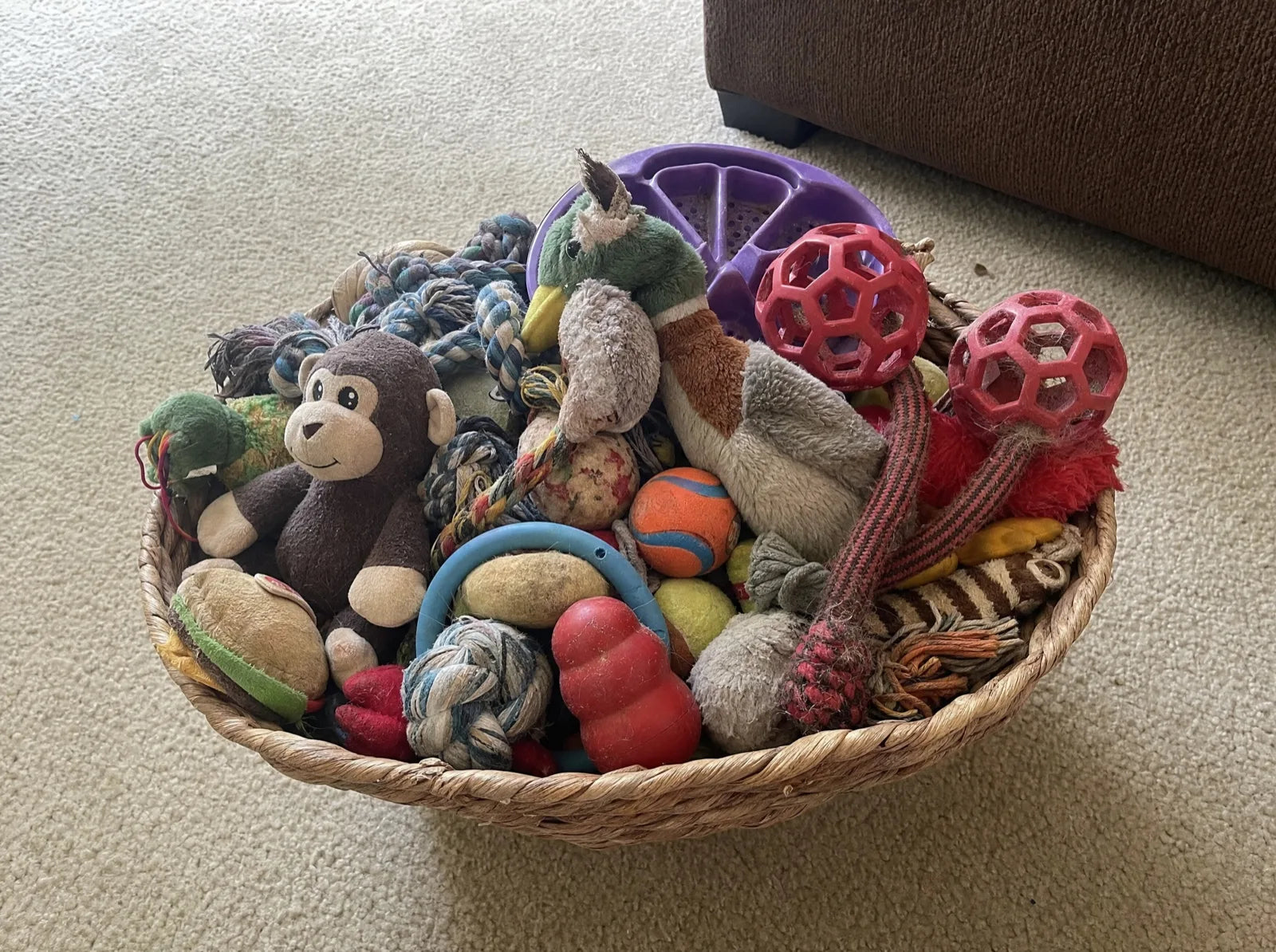 A wicker basket overflowing with chewed dog toys on the carpet
