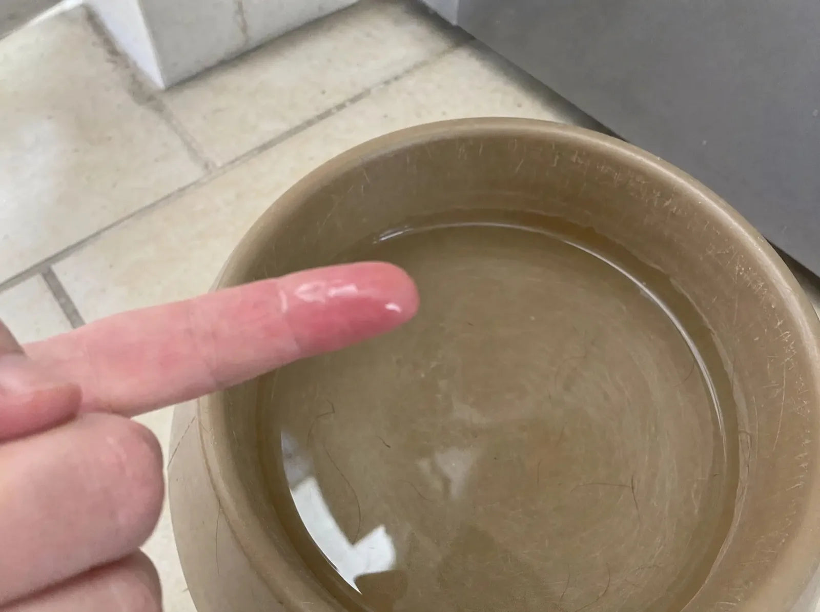 A fingertip glistening with slimy film after being run around the inside of a plastic dog water bowl