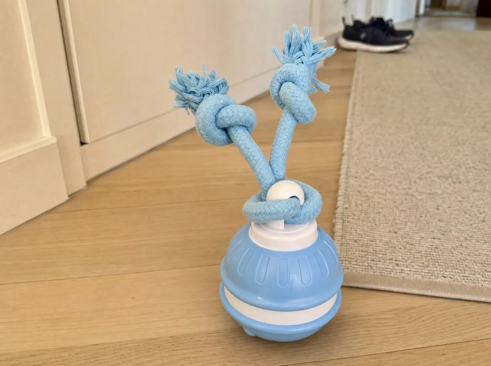 The Chase Buddy, a blue ball with two knotted rope arms, on the floor