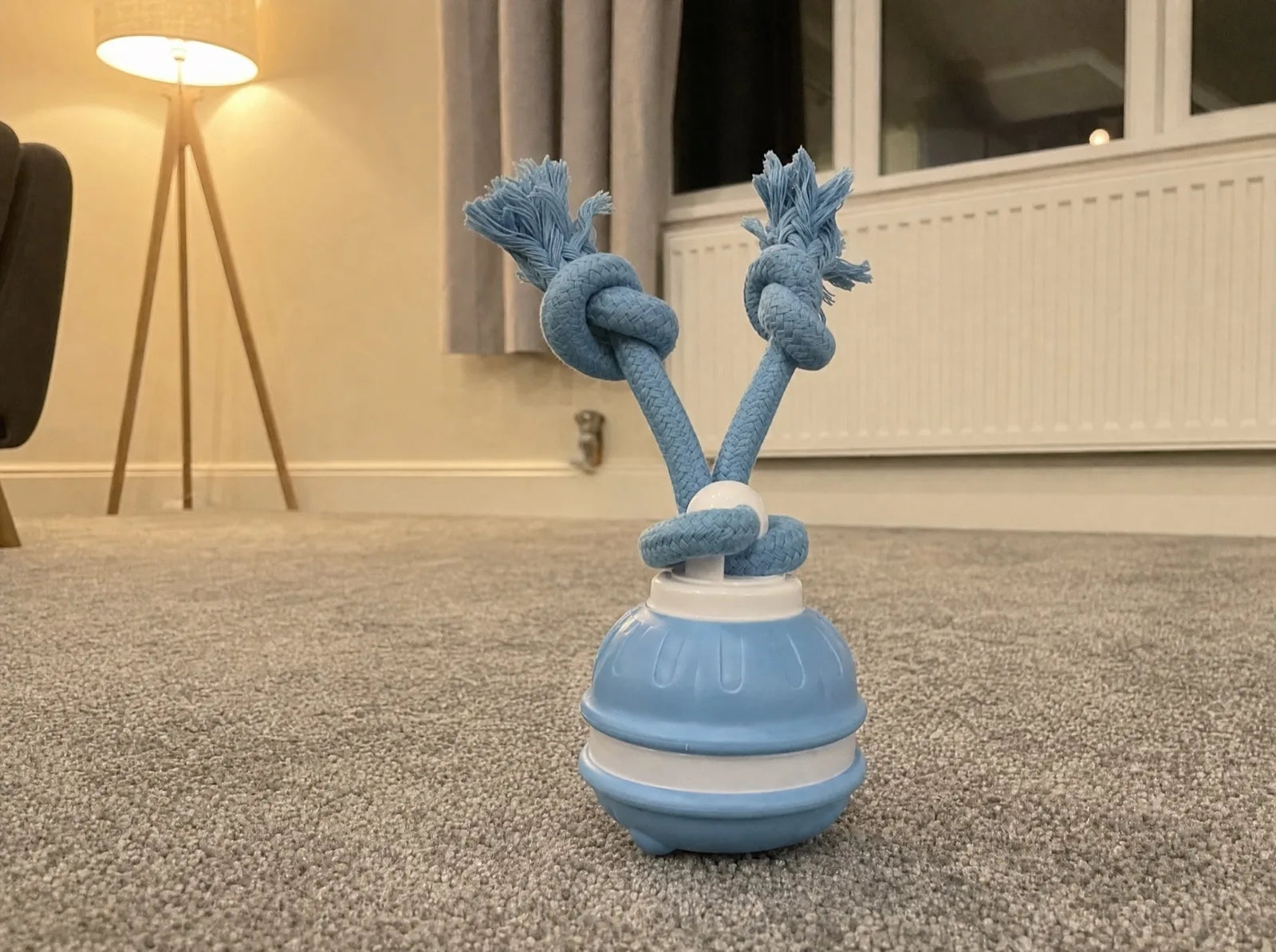 The Chase Buddy, a blue ball with two knotted rope arms, on the living room carpet by the radiator