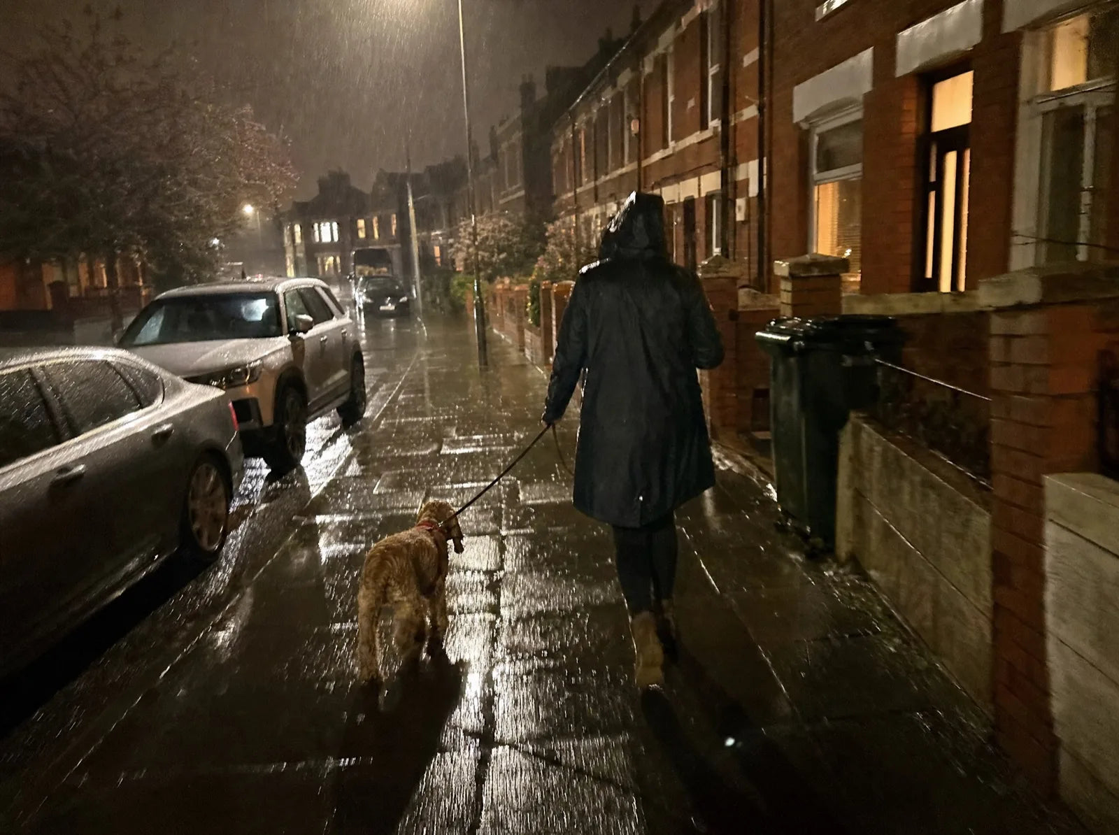A woman in a raincoat walking a cocker spaniel past terraced houses in the rain and dark