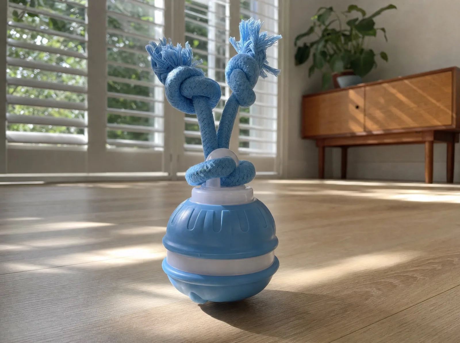 The Chase Buddy, a blue ball with two knotted rope arms, on the floorboards by the window