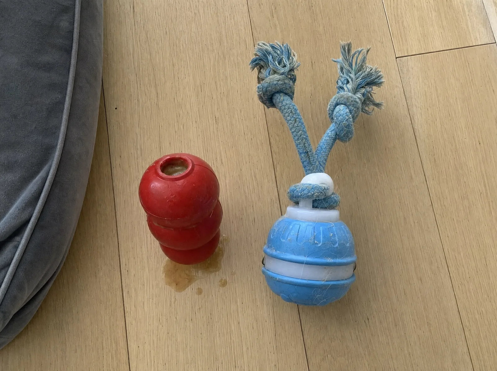 An untouched Kong next to a well-used Chase Buddy on the floorboards