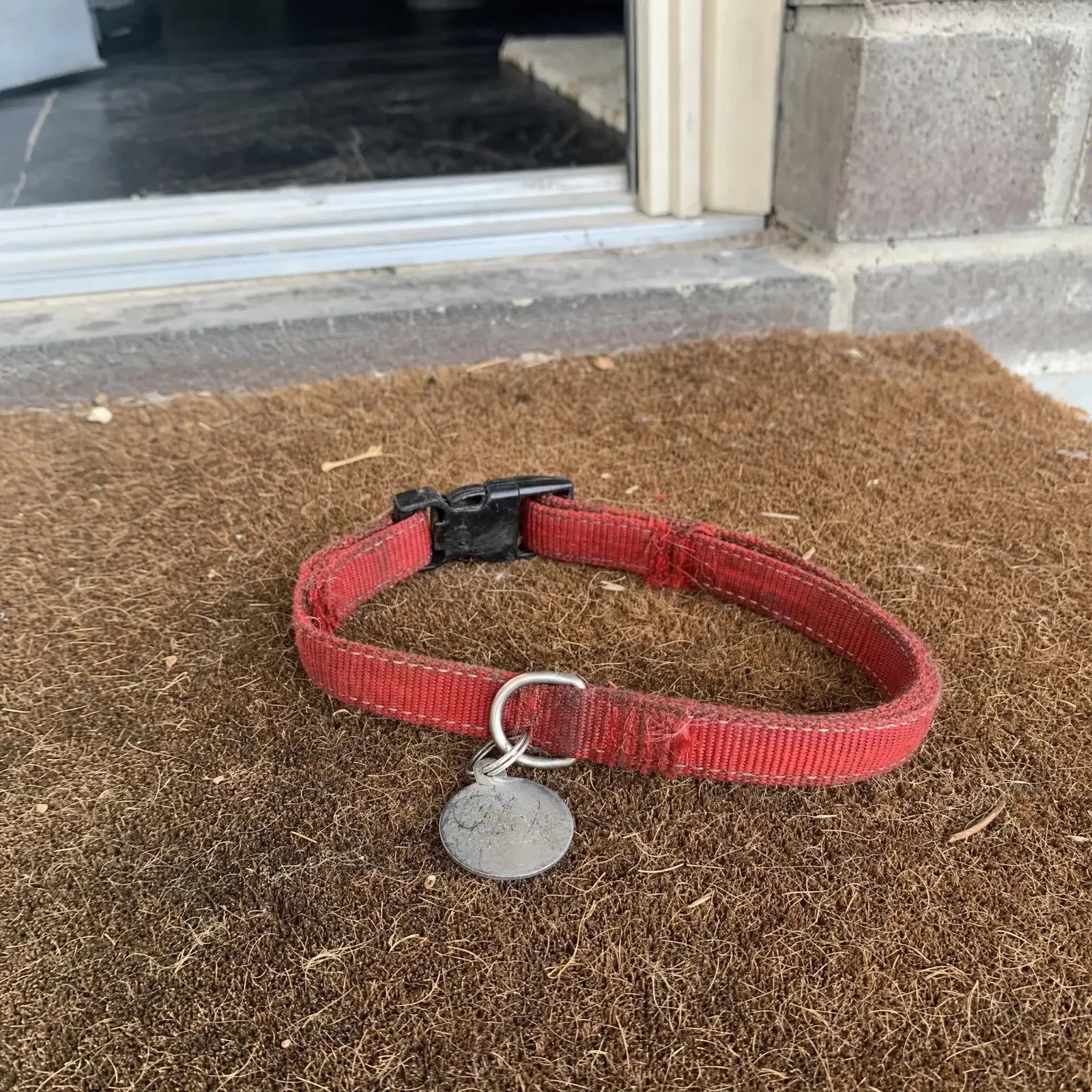 Worn plain collar with a scratched ID tag