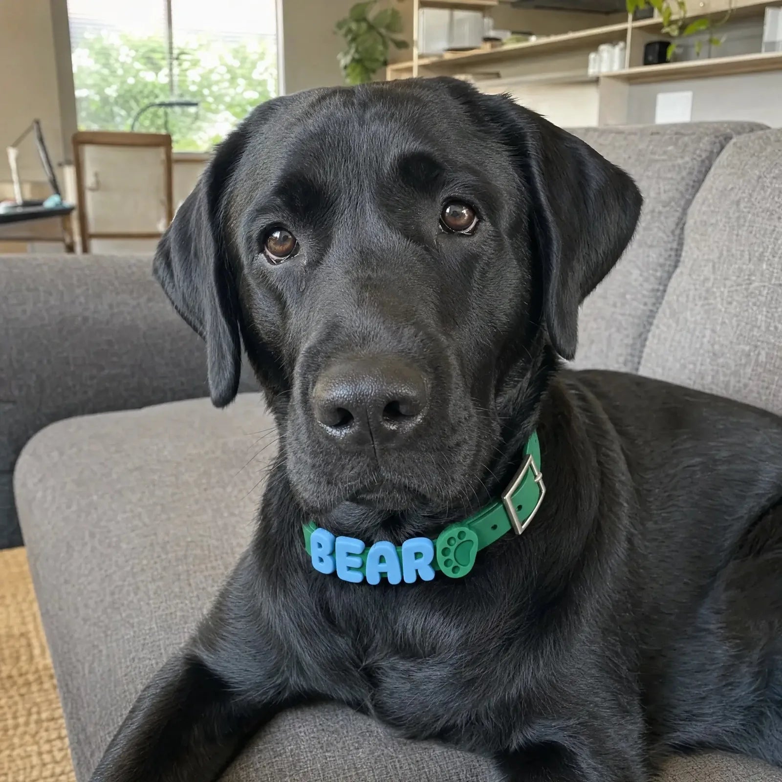 Customer using PearlyPup dental spray