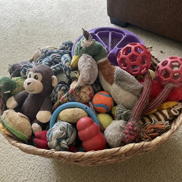 Regular toys