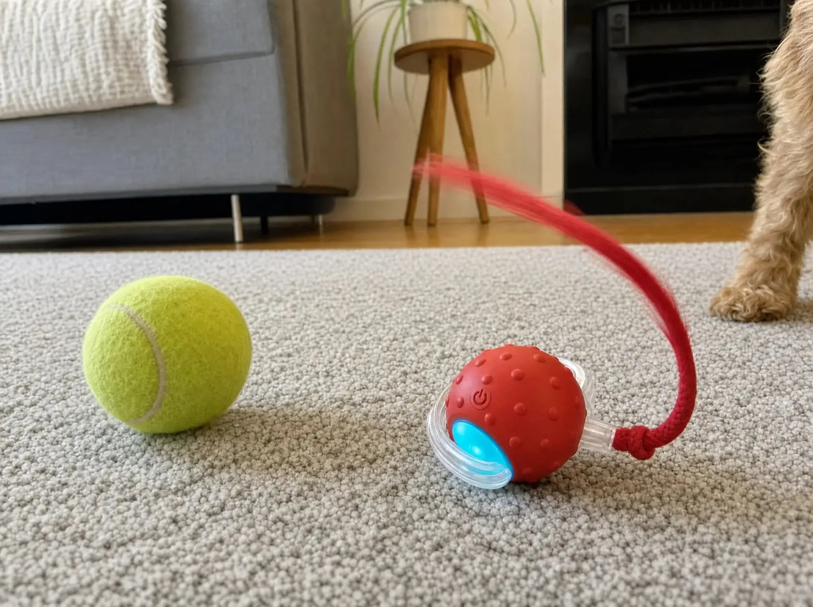 A tennis ball lying still next to the ZoomieTail rolling with its rope tail flicking